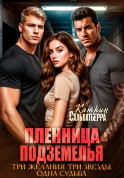 Только одно лето, аудиокнига Катрин Сальватьерры. ISDN72629482