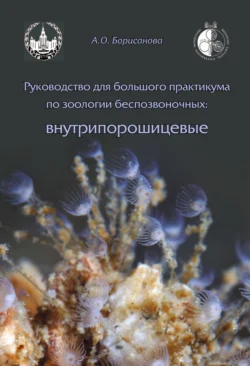 Руководство для большого практикума по зоологии беспозвоночных. Внутрипорошицевые, Анастасия Борисанова