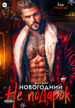 Бандит. Новогодний не подарок, аудиокнига . ISDN71805709