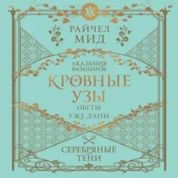 Серебряные тени Райчел Мид
