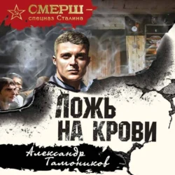 Ложь на крови, Александр Тамоников