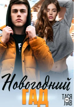 Новогодний гад, Тася Лав