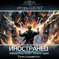 Иностранец. Победитель будет только один - Игорь Шелег