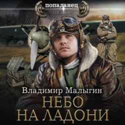 Небо на ладони - Владимир Малыгин