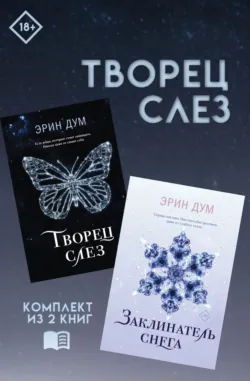 Заклинатель снега, аудиокнига . ISDN71281501