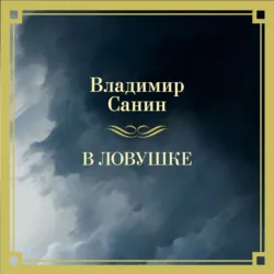 В ловушке - Владимир Санин