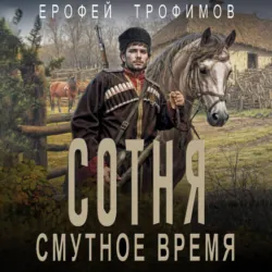 Сотня. Смутное время - Ерофей Трофимов