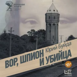 Вор, шпион и убийца - Юрий Буйда