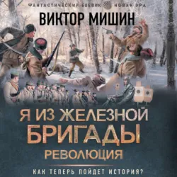 Я из Железной бригады. Революция - Виктор Мишин