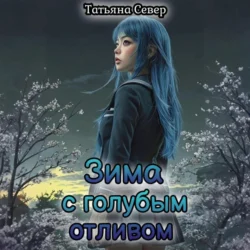 Зима с голубым отливом Татьяна Север