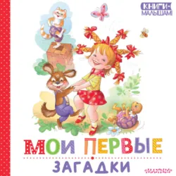 Мои первые загадки - Марина Дружинина