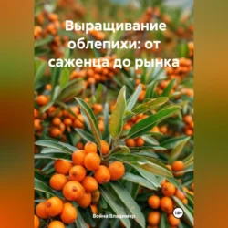 Дом, в котором живет детство, аудиокнига Сони Стекловой. ISDN70005652