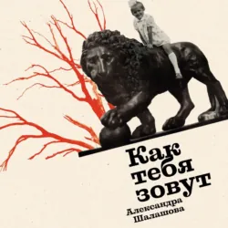 Как тебя зовут - Александра Шалашова