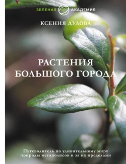 Путешествие в Каменный век, аудиокнига . ISDN2770615