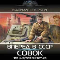 Вперёд в СССР. Совок - Владимир Поселягин