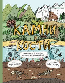 Камни и кости: Окаменелости и истории  которые они рассказывают Роб Уилшоу