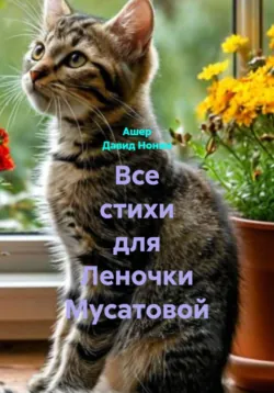 Все стихи для Леночки Мусатовой - Ашер Давид Нонин