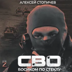 СВО. Босиком по стеклу - Алексей Стопичев