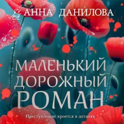 Маленький дорожный роман, Анна Данилова