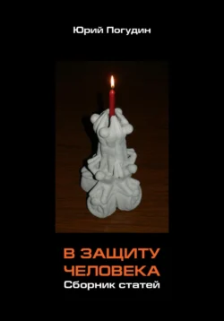 В защиту человека. Сборник статей, Юрий Погудин