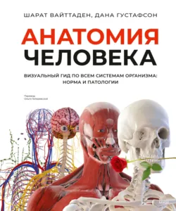 Анатомия человека. Визуальный гид по всем системам организма: норма и патологии - Дана Густафсон