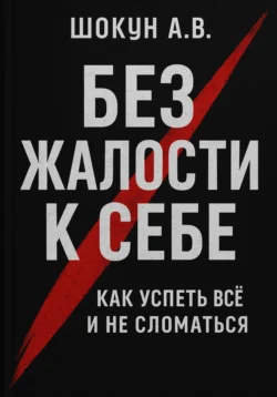 Без жалости к себе: Как успеть Всё и не Сломаться, Шокун Алексей