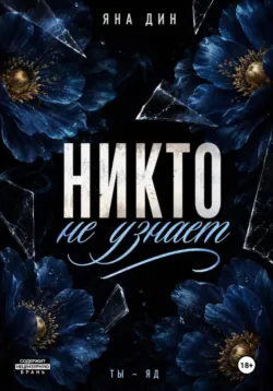 Никто не разрушит, аудиокнига . ISDN73152118