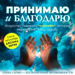 Принимаю и благодарю - Алан Далви