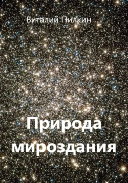 Природа мироздания, Виталий Пилкин