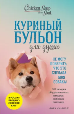 Всё, что душа пожелает, или Фактор Аладдина, аудиокнига . ISDN21553655