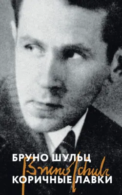 Коричные лавки - Бруно Шульц
