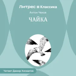 Чайка - Антон Чехов