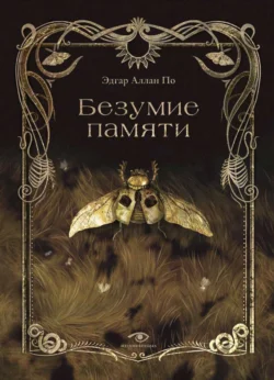 Безумие памяти, Эдгар Аллан По