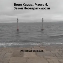 Воин Кармы. Часть 5. Закон Неотвратимости - Александр Воронцов