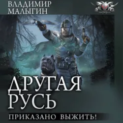 Другая Русь. Приказано выжить! - Владимир Малыгин
