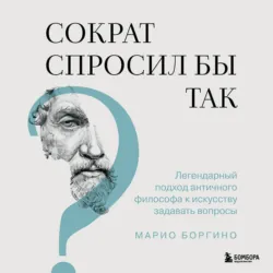 Сократ спросил бы так. Легендарный подход античного философа к искусству задавать вопросы - Марио Боргино