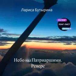 Небо над Патриаршими. Реверс - Лариса Бутырина