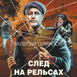 Короли городских окраин, аудиокнига Валерия Шарапова. ISDN67806470