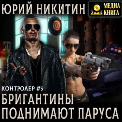 Контролер. Бригантины поднимают паруса - Юрий Никитин
