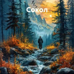 Сокол, Александр Сапрунов
