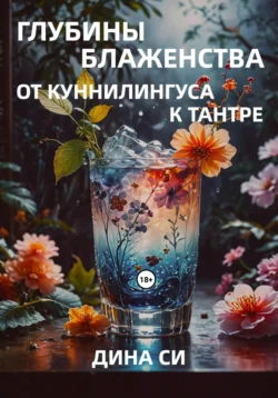 Встреча с ночным миром – 2, аудиокнига Рады Яръ. ISDN68485852