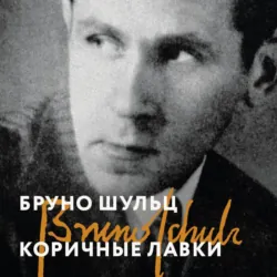 Dünya ədəbiyyatından gənc oxuculara 30 seçmə hekayə,  аудиокнига. ISDN71969350