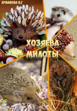 The Small Dog With A Big Personality: Rats, Isabel  George аудиокнига. ISDN39800689