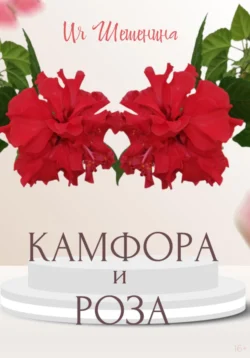 Девушка в цвету (сборник), аудиокнига Татьяны Толстой. ISDN9747416