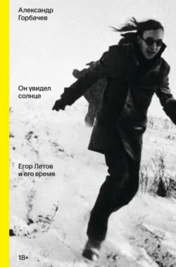 Он увидел солнце. Егор Летов и его время - Александр Горбачёв