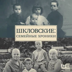 Шкловские: Семейные хроники, аудиокнига Натальи Громовой. ISDN72238495
