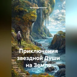 Приключения звездной Души на Земле, Наталья Жемчугова