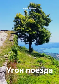 Крылья, тортик, женский хор, аудиокнига Антона Игоревича Веселова. ISDN72263689