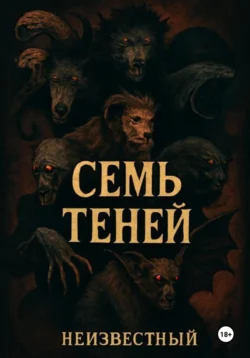 Семь теней, Неизвестный