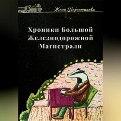 Хроники Большой Железнодорожной магистрали, Женя Шереметьева